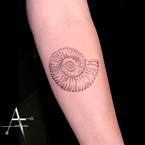 tatouage ammonite|ammonite fossil tattoo.